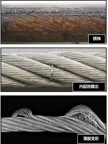 成人快猫短视频