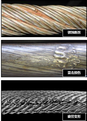 成人快猫短视频